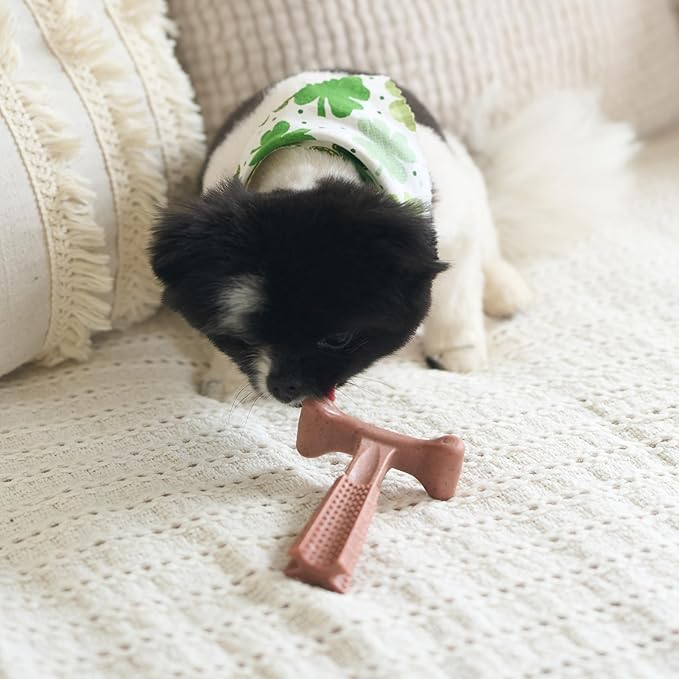 SPOT Bam-Bones Plus T Bone – Bamboo Fiber & Nylon Dog Chew Toy for Moderate to Aggressive Chewers, Durable & Non-Splintering, Long Lasting Beef Flavor Toy for Dogs & Puppies Under 30 lbs, 4 in