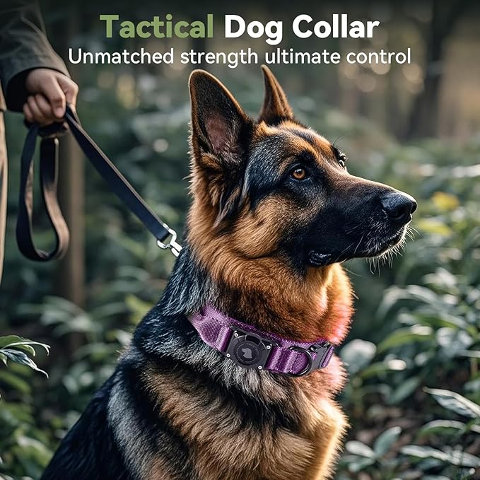 2025 Upgrade Waterproof AirTag Dog Collar, Military Tactical Dog Collar with AirTag Holder, Comfortable Control Handle and Metal Buckle, GPS Dog Collar Holder for Medium to Large Dogs (Purple, M)