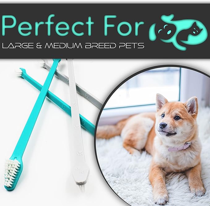 H&H Pets Dog Toothbrush Dual Headed Design Dental Toothbrushes for Small & Large Dogs, 4 or 8 Counts Pack