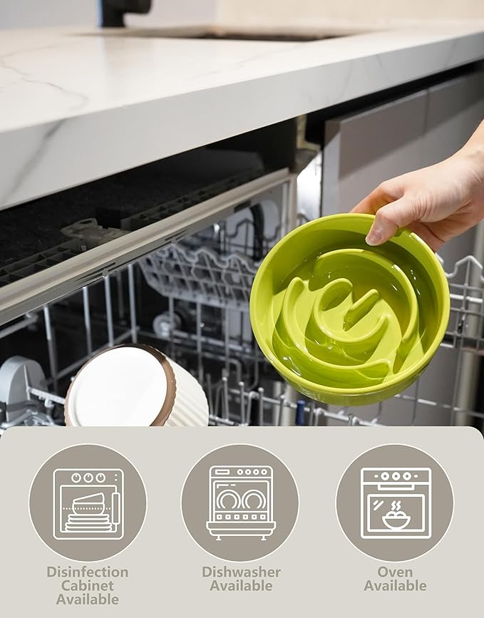 Ceramic Slow Feeder Dog Bowls Elevated, 0.6 Cup Slow Feeder for Small Dogs and Cats, Puzzle Maze Bowl, Prevents Choking, 6in, Green