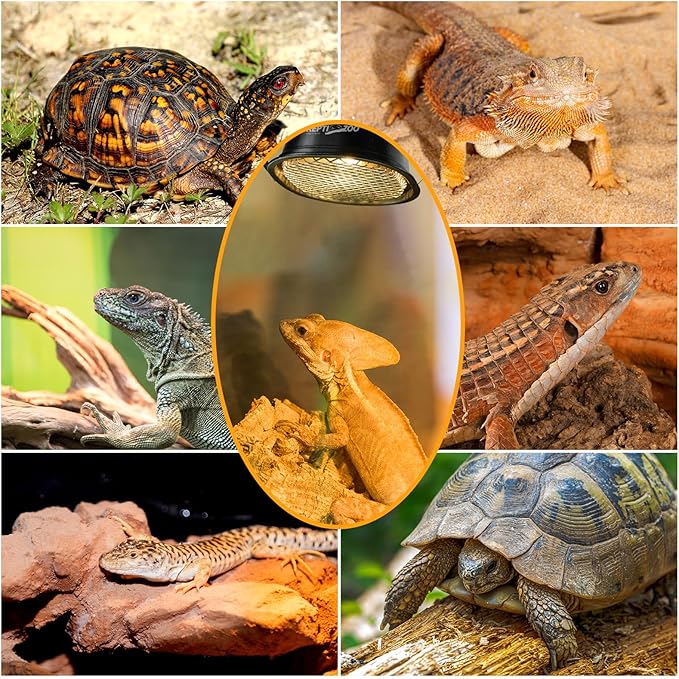 REPTI ZOO G9 Reptile Heat Lamp Bulb & Reptile Light Fixture with Safety Mesh Kit, 50W UVA Basking Light Fixture for Bearded Dragon Gecko Lizard Turtle Snake Chicken, Low Profile Warm White Heat Bulb
