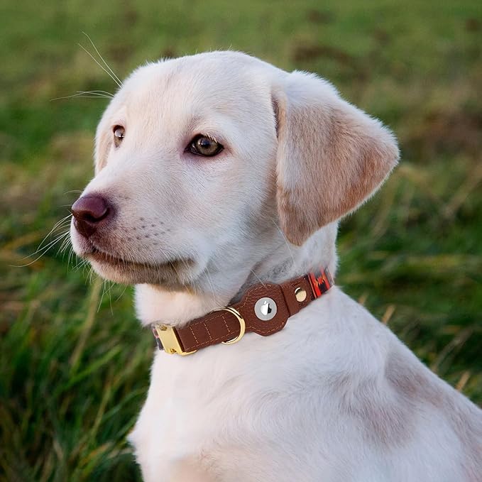 AirTag Dog Collar for Small Medium Large Breed - Adjustable Cute Pattern Dog Collar with Airtag Holder - Soft Leather Tracker GPS Apple Air Tag Pet Collars (Large, 17"-21" Neck Fit, Western)