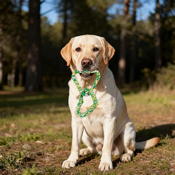 Triangle & Heart Dog Chew Toy 99.99% Natural Rubber,Eco-Friendly Biodegradable, Gentle Gum Care, Especially Friendly to Puppies in The Teething Period