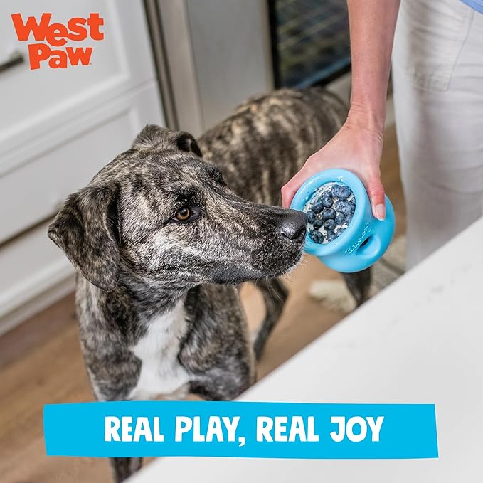WEST PAW Zogoflex Toppl Treat Dispensing Dog Toy Puzzle – Interactive Chew Toys for Dogs – Dog Toy for Moderate Chewers, Fetch, Catch – Holds Kibble, Treats, X-Large, Aqua Blue