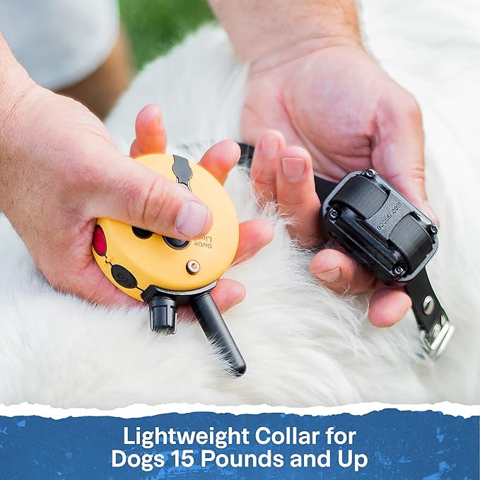 Educator ET-300 Mini E Collar for Dog Training with Remote - 1/2 Mile Range, Waterproof, 100 Blunt Stimulation Levels, Tone or Vibration Mode, Night Light Tracking for Small, Medium & Large Dogs