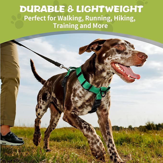 No-Pull Harness,Y-Shaped Design,Buckle-Neck Balance Harness with Reflective Stitching, Ideal for Dog Training and Night Walking, Padded Handle, Durable High-Tensile Nylon-Aqua Green-L