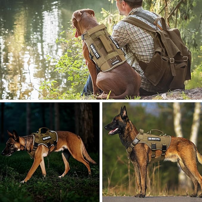 WINSEE Mesh Dog Harness with 10 Pet Patches for Large Service Dog in Training, Breathable Tactical Molle Vest with Double Handle, Reflective Military Pet Vest for Walking Hiking