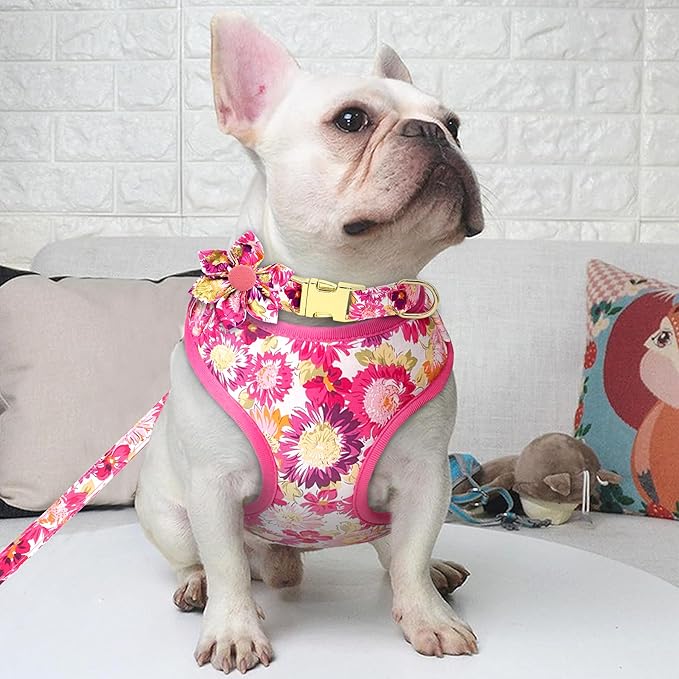 Beirui Cute Girl Dog Collars, Harnesses & Leashes Set - Adjustable Dog Collar and Leash Set with Flower - Soft Mesh Dog Vest Harness for Puppies Small Medium Dogs (Pink-2,S)