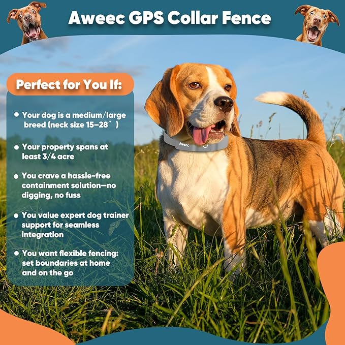 GPS Wireless Dog Fence with Free App, Electric Fence System with Training Collar, Portable Fence for Outdoor Use, Rechargeable Waterproof Flexiable Collar, Adjustable for Large Medium Dogs (Gray)