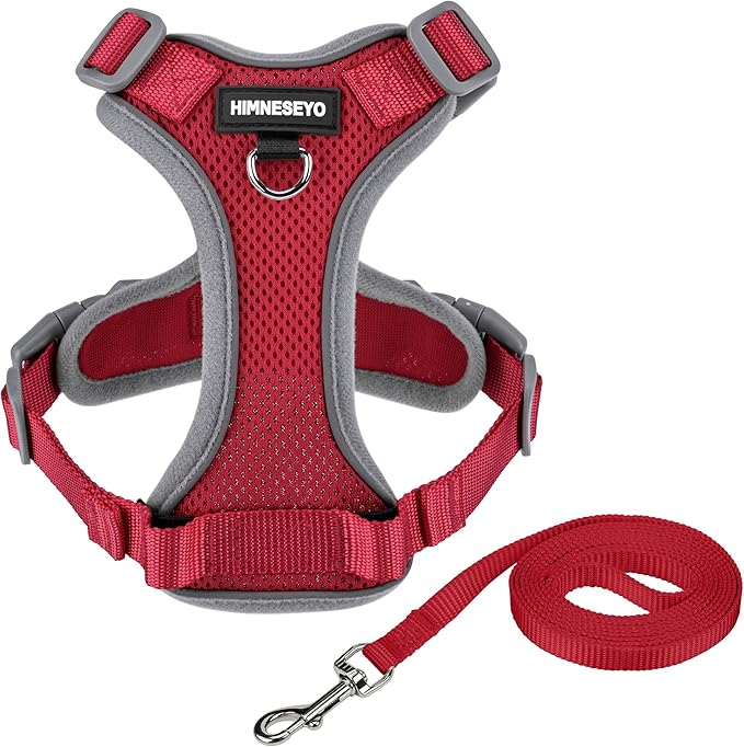 Small Dog Harness and Leash Set, No Pull Adjustable Pet Harness for Small Dogs, Breathable Mesh Rflective Dog Vest Harness (Red, XS)