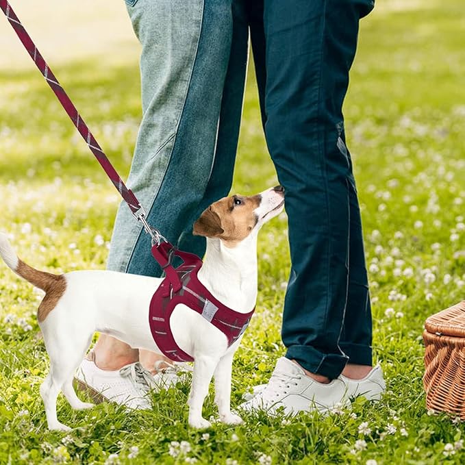 PUPTECK Adjustable Dog Harness Collar and Leash Set Step in No Pull Pet Harness for Small Medium Dogs Puppy and Cats Outdoor Walking Running, Soft Mesh Padded Reflective Vest Harnesses, Red L