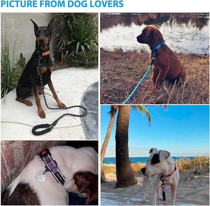 Heavy Duty Dog Leash - Comfortable Padded Handle, 5 ft Long - Dog Leashes for Small Medium Large Dogs (Leash+Collar M Neck 16"-20", Pink)