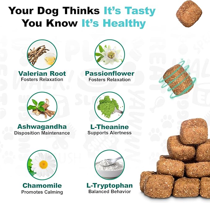 Doggie Dailies Calming Chews for Dogs - Melatonin for Dogs with Chamomile to Help Manage Stress Relief - Calm & Relaxation During Thunderstorms, Fireworks, Travel, & Separation (Turkey) 225 Soft Chews