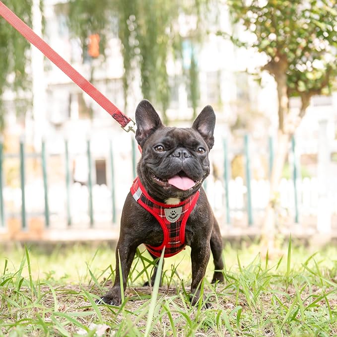 EXPAWLORER Classic Plaid Puppy Harness - Small Dog Harness and Leash Set - Dog Collar and Leash Set with AirTag Holder, Soft Padded Step in Dog Vest Harness No Pull Reflective for Outdoor, Red XS