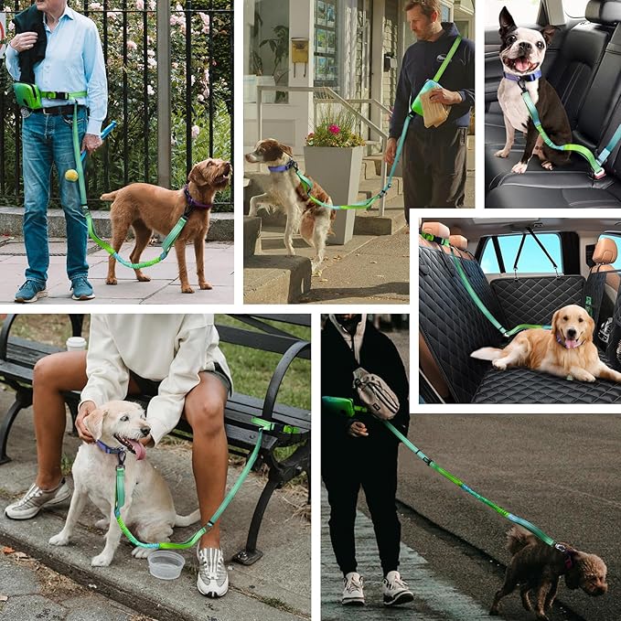 Roses&Poetry Hands Free Dog Leash with Zipper Pouch, 6-9ft Bungee Waist Leash for Medium Large Dogs Walking, Running Lead with Dual Padded Handles Car Safety Buckle for Training Jogging
