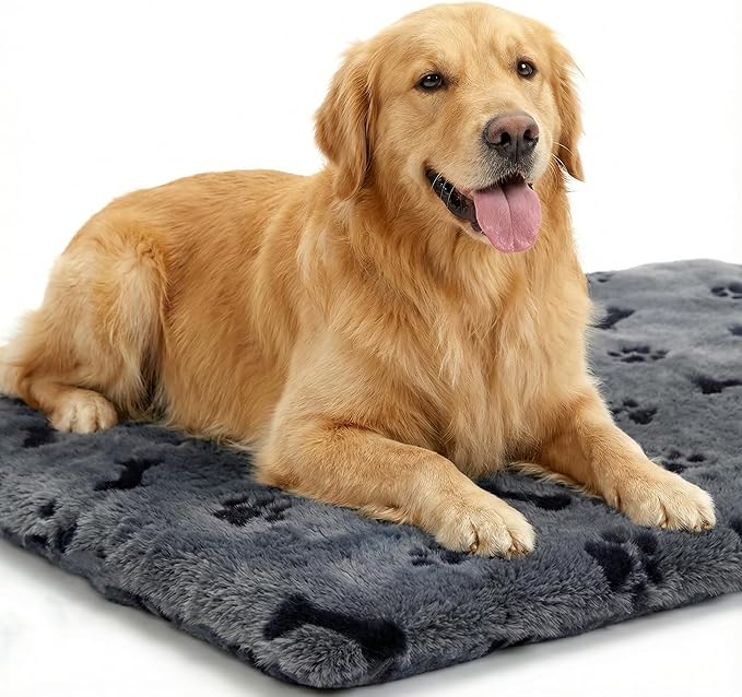 Pet Heating Pad for Cats Dogs, Heated Cat Dog Bed with 5 Temperature Levels, Timer, Auto Shut-Off, Thick Paw-Print Cover, Chew Resistant Cord for Indoor & Sheltered Outdoor Use (L: 26" x 20" x 1.3")