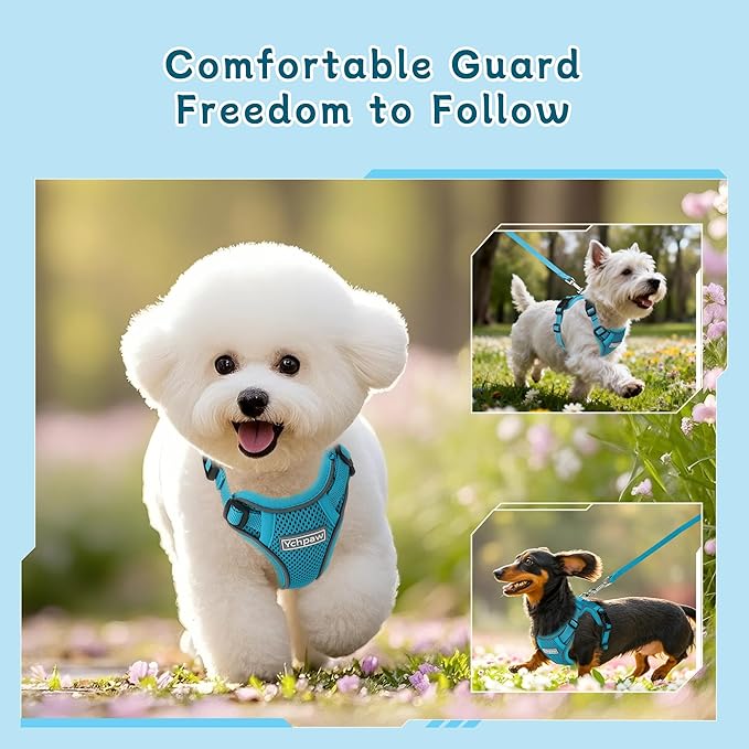 Small Dog Harness and Leash Set, Reflective Soft Breathable Mesh Vest, 3 Buckles, Adjustable Neck and Chest,Step in Dog Harness for Walking, Running, Training, Turquoise, S