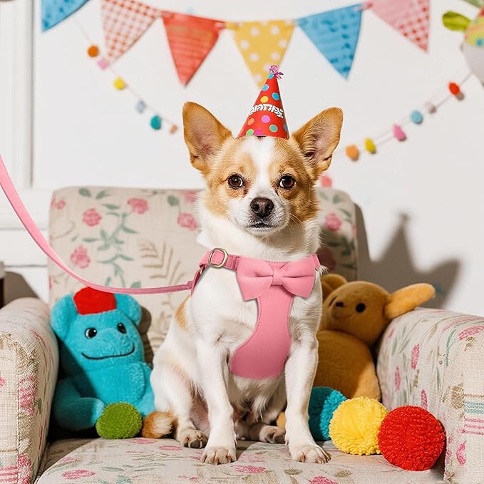 Beirui Cute XXS Dog Harness Set with Three Detachable Bows, Adjustable Step in Dog Harness Collar and Leash Set with Secure Metal Buckle for Daily Walking, Parties & Holiday Outfits(Pink,XXS)