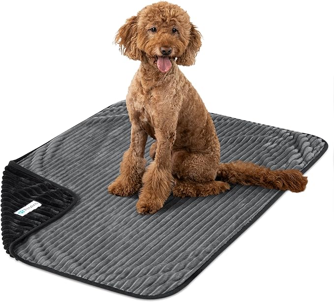 PetAmi Waterproof Dog Blanket, Leakproof Pet Blanket for Small Medium Large Dogs, Reversible Furniture Bed Sofa Couch Cover Protector, Plush Striped Pet Throw for Indoor Cat, 40x60 in, Black Grey