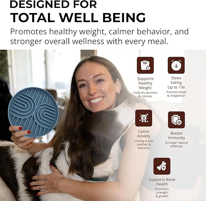 Slow Feeder Dog Bowls, Dishwasher Safe, Non-Slip Base, BPA-Free Slow Eating Dog Bowl (Stone Gray, 1-Pack)