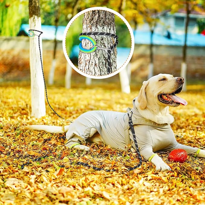 NTR Dog Long Leash, 15FT Puppy Obedience Recall Training Rope Lead with 2 Swivel Hooks, Reflective Threads and Soft Handle, Puppy Leash for Walking, Hunting, Camping for Small Medium and Large Dogs