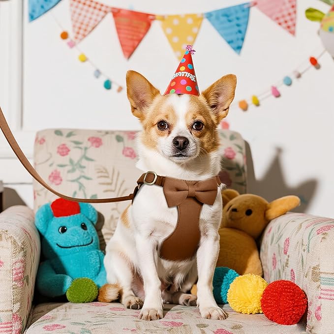 Beirui Cute XXS Dog Harness Set with Three Detachable Bows, Adjustable Step in Dog Harness Collar and Leash Set with Secure Metal Buckle for Daily Walking, Parties & Holiday Outfits(Brown,XXS)