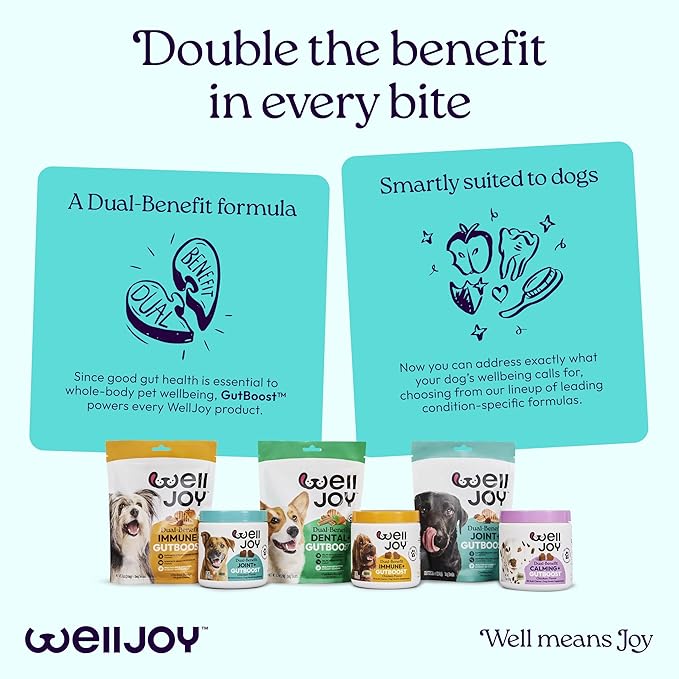 WellJoy Dog Treat Joint+ GutBoost | Glucosamine | Healthy Joints & Cartilage | Dual-Benefit GutBoost Formulation | Vet Formulated | Made in USA | Made with Real Shredded Chicken | 30 Soft Chews
