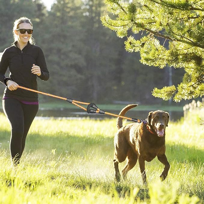 JSXD Heavy Duty Double Handle Dog Leash - 5 FT with Comfortable Padded & Reflective Rope for Small, Medium, Large Dogs (Rope-Orange)