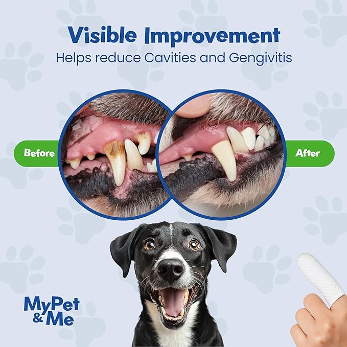 Disposable Finger Toothbrush – 50 Ct | Gentle Dental Wipes for Dogs & Cats | Easy, No-Rinse Oral Cleaning Gloves | Hassle-Free Pet Teeth Cleaning Solution