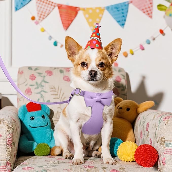 Beirui Cute XXS Dog Harness Set with Three Detachable Bows, Adjustable Step in Dog Harness Collar and Leash Set with Secure Metal Buckle for Daily Walking, Parties & Holiday Outfits(Purple,XXS)