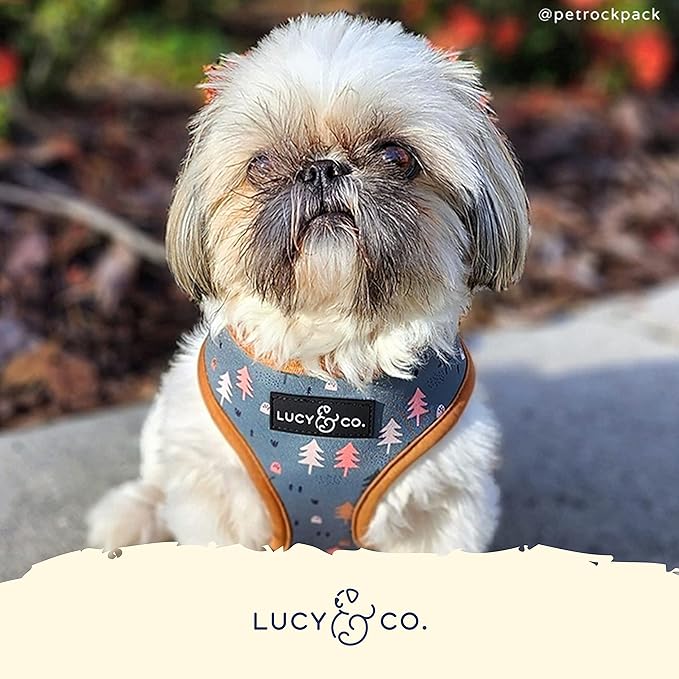 Lucy & Co. Cute Reversible Dog Harness Walking Halter - Best Designer Pet Harnesses for XS - XL Dogs - Padded Adjustable Vest for Easy Walking (Large, Neutral Brown Plaid with Blue Trees)