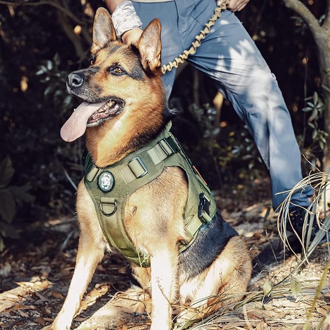 OneTigris Tactical Dog Harness,No-Pull Dog Vest with Leash Clips,Dog Harness Adjustable for Hiking Training Outdoor Dogs(Ranger Green, Medium)