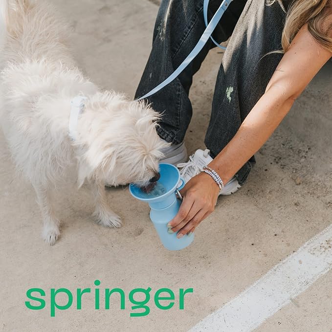 Springer by Springland Dog Water Bottle | Portable Travel Water Bottle Dispenser for Dogs | Dog Gift Seen on Oprah's Favorite Things, Shark Tank | Leak-Proof Bottles | BPA-Free 15oz Lilac