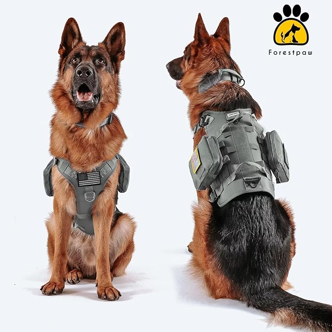 Forestpaw Tactical Dog Harness for Large Dogs,Tactical Dog Collar with Bungee Leash Set,No Pull Military Dog Harness for Walking Training,Adjustable for Medium Large Dogs,Gray,Chest 21.5-45"