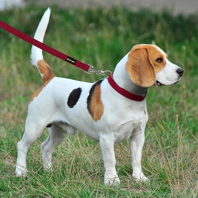 Plutus Pet Cotton Hemp Dog Collar and Leash Set, Adjustable Collar for Small, Medium, and Large Dogs, Heavy Duty and Soft on Skin, Red, S