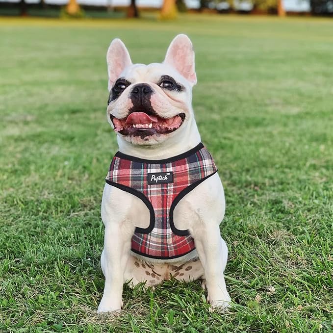 PUPTECK Soft Mesh Dog Harness and Leash Set Pet Puppy Cat Comfort Padded Vest No Pull Harnesses, Red Mixed, M