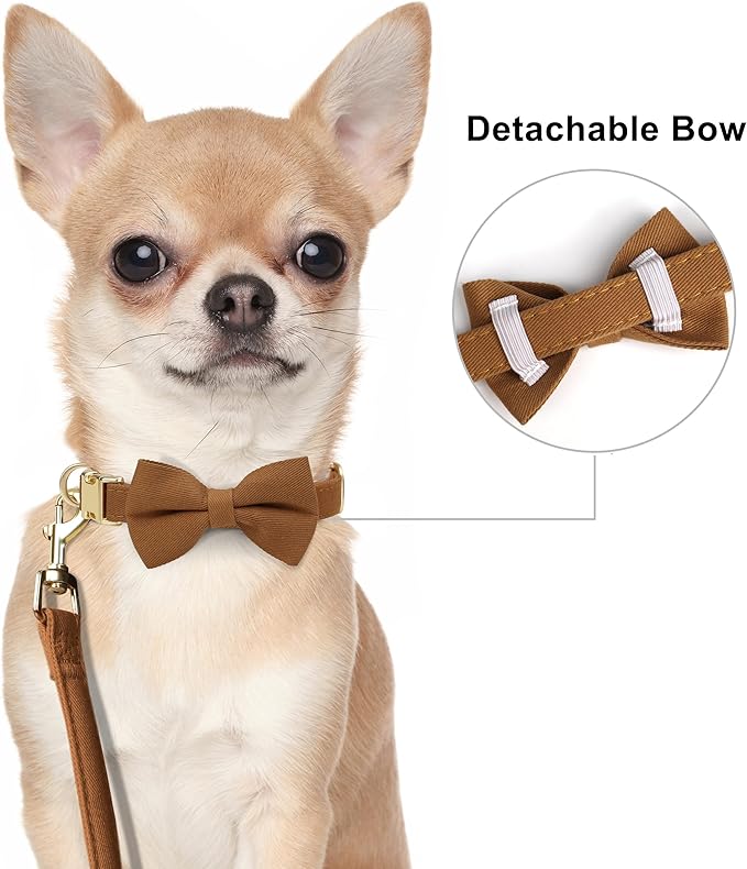 Beirui Cute XXS Dog Harness Set with Three Detachable Bows, Adjustable Step in Dog Harness Collar and Leash Set with Secure Metal Buckle for Daily Walking, Parties & Holiday Outfits(Brown,XXS)