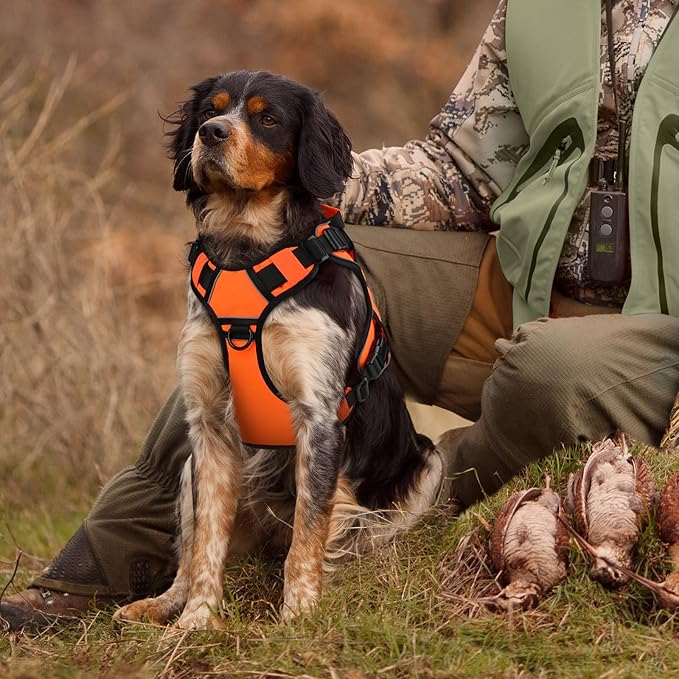 WINGOIN Orange Tactical Dog Harness for Medium Dogs, Heavy Duty No Pull Dog Harness with Handle, Adjustable Reflective Military K9 Pet Vest for Pitbull, Female, Male, Walking, Training, Hunting (M)