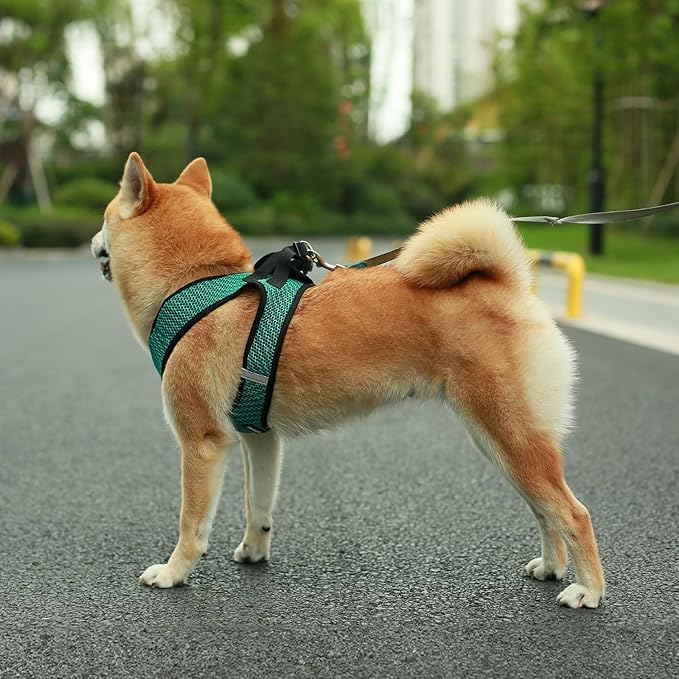 Voyager Step-in Air All Weather Mesh Harness and Reflective Dog 5 ft Leash Combo with Neoprene Handle, for Small, Medium and Large Breed Puppies by Best Pet Supplies - Turquoise (2-Tone), L