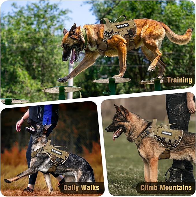 WINSEE Tactical Dog Harness for Medium Dog, Heavy Duty Service Working MOLLE Vest with 10 Pet Patches, 2X Metal Buckle Vest for Training Hunting Walking