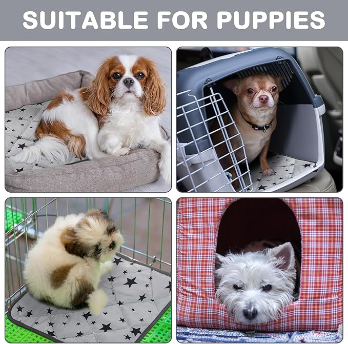 Namalu 4 Pack Self Warming Cat Bed Self Heating Cat Mat Star Pattern Soft Dog Crate Pad Thermal Pet Mat Anti Slip Kennel Dog Washable Warming Bed for Outdoor Indoor(12 x 12 Inch,Gray)