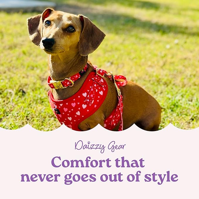 Retractable Dog Leash for Small, Medium & Large Dogs – Heavy-Duty, Tangle-Free, Reflective, 16FT Long, Anti-Slip Soft Handle with One-Hand Brake - 44 LBS /16FT - Small - Pink