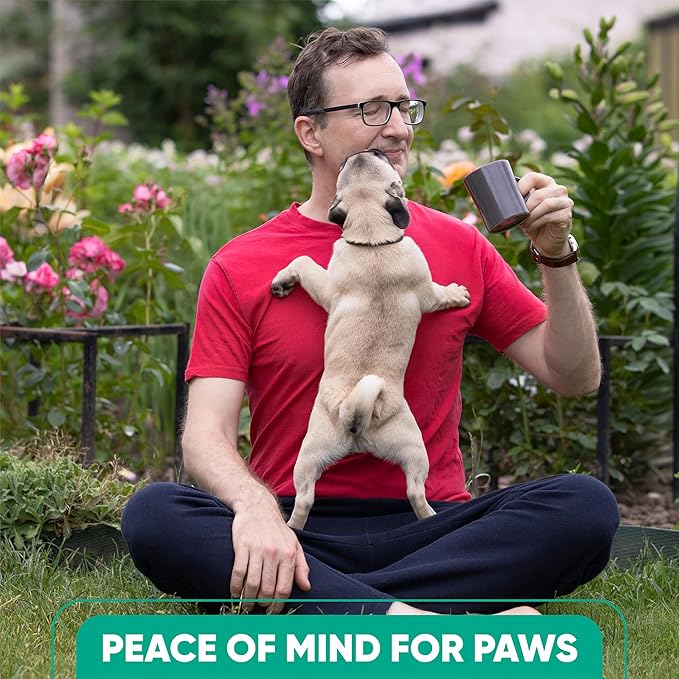 Pheromone Diffuser for Dogs: Advanced Dog Calming Diffuser - Calming Pheromones for Dogs - Dog Appeasing Pheromone - Dog Calming Diffuser for Dog Anxiety Relief, 2 Pack (Mint Blue)