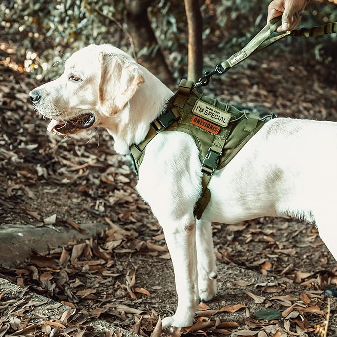 OneTigris Dog Harness, Tactical Dog Harness No-Pull Breathable Adjustable Pet Vest with Handle for Outdoor Walking(Ranger Green,Small)