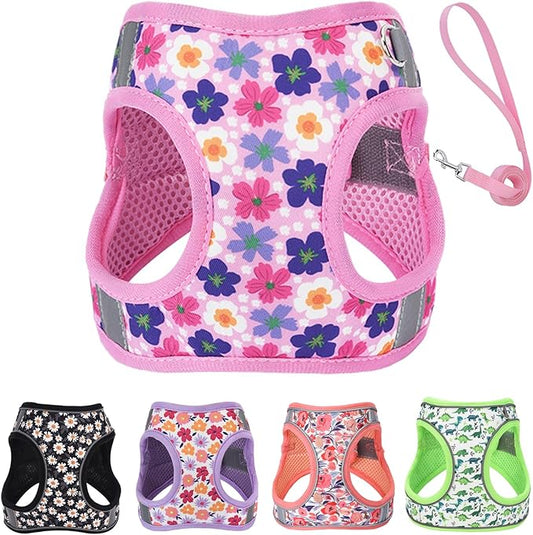 XS Dog Harness and Leash Set, Step in Dog Harness No Pull for Walking Running Training, Puppy Essentials for Dogs Cat Bunny, Adjustable Reflective Dog Vest Harness. (Pink, XS)