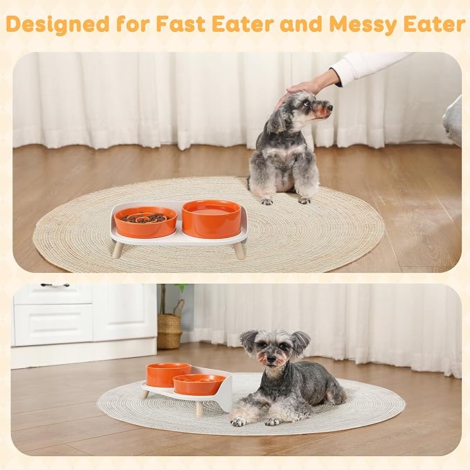 Elevated Slow Feeder Dog Bowls - Ceramic Food and Water Bowl Set with Stand - Raised Pet Dishes for Small and Medium Sized Dogs