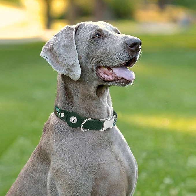 AirTag Dog Collar for Small Medium Large Breed - Adjustable Cute Pattern Dog Collar with Airtag Holder - Soft Leather Tracker GPS Apple Air Tag Pet Collars (Small, 12"-15" Neck Fit, Mushroom)