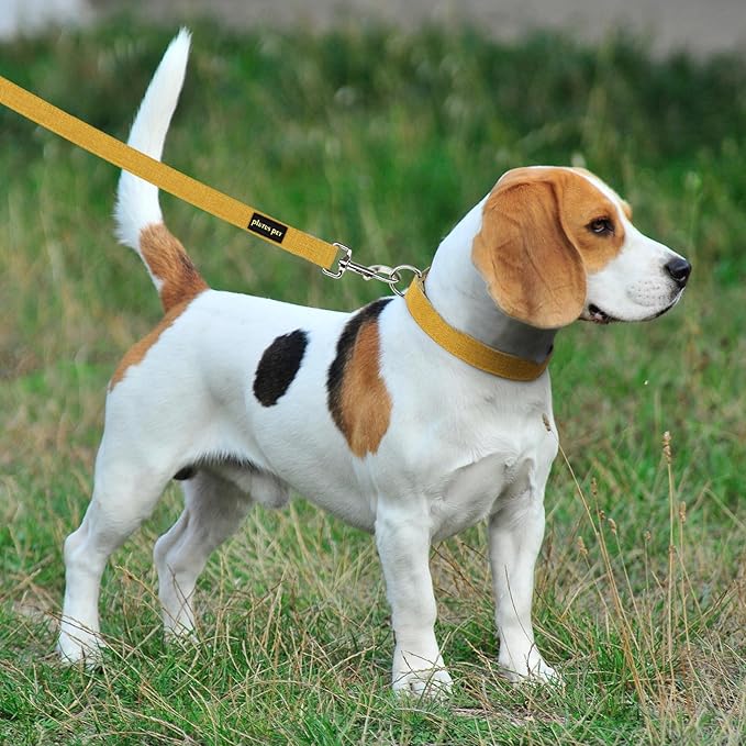 Plutus Pet Cotton Hemp Dog Collar and Leash Set, Adjustable Collar for Small, Medium, and Large Dogs, Heavy Duty and Soft on Skin, Yellow, S