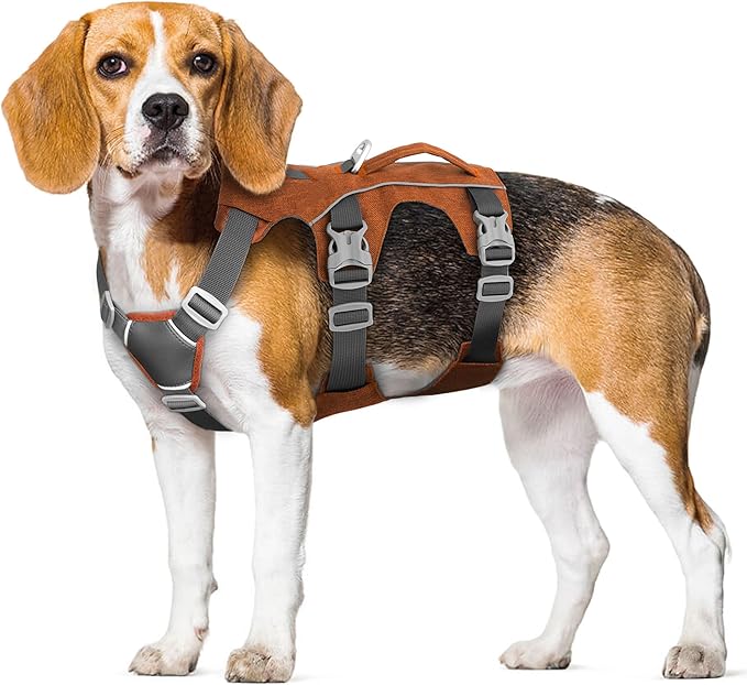 Escape Proof Dog Harness Medium Sized Dog, Reflective No Pull Dog Vest with Handle, Lightweight Full Body Pet Harness Adjustable for Walking,Training(Orange,Chest:17-32")