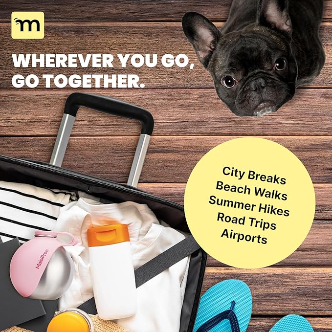 Malsipree 2-in-1 Portable Dog Water Bottle & Bowl for Small Dogs - Leak Proof & Insulating - Travel Water Dispenser - Stainless Steel Bottle & Silicone Bowl - Walking & Hiking (10 fl oz, Black)